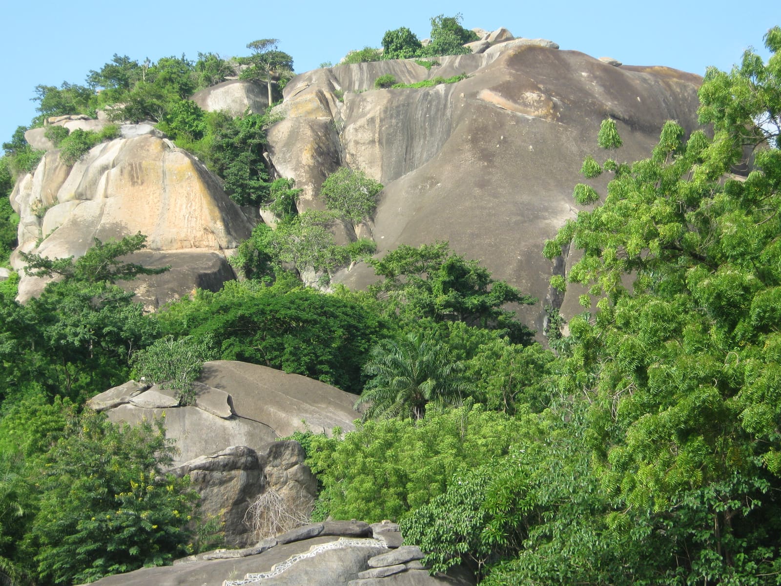 The Collines & the Centre