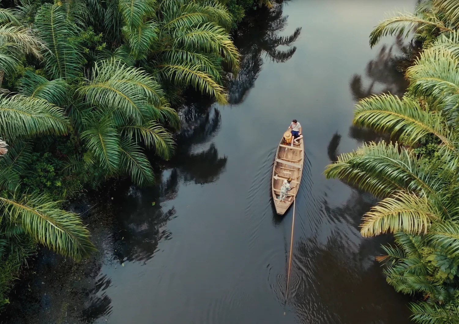 A pirogue on a palm-lined channel, from above